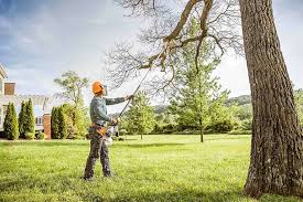 Best Tree Mulching  in Prospect, PA